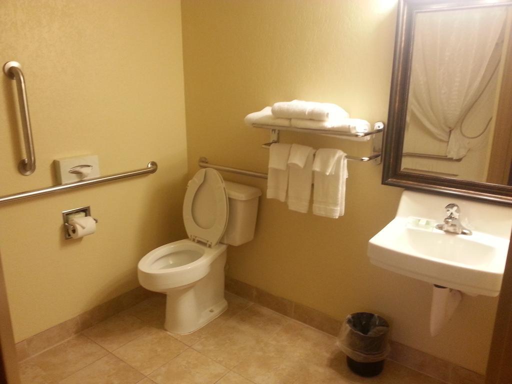 Quality Inn & Suites Saginaw Cameră foto