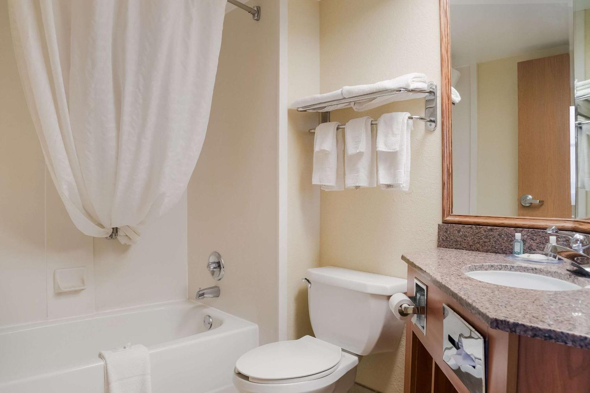 Quality Inn & Suites Saginaw Exterior foto