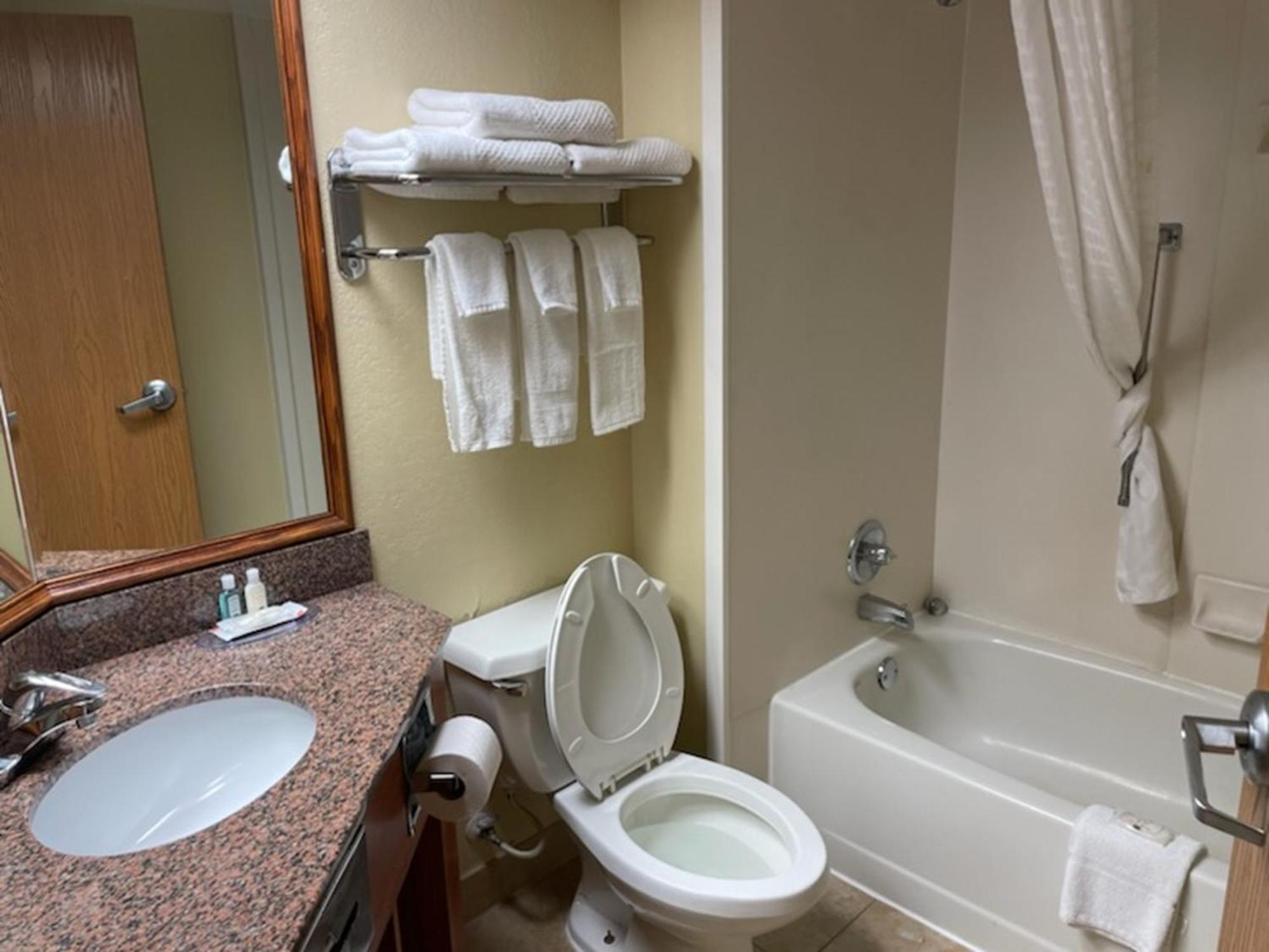 Quality Inn & Suites Saginaw Exterior foto